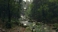 CryEngine V突破画面新高度 超逼真森林截图公开